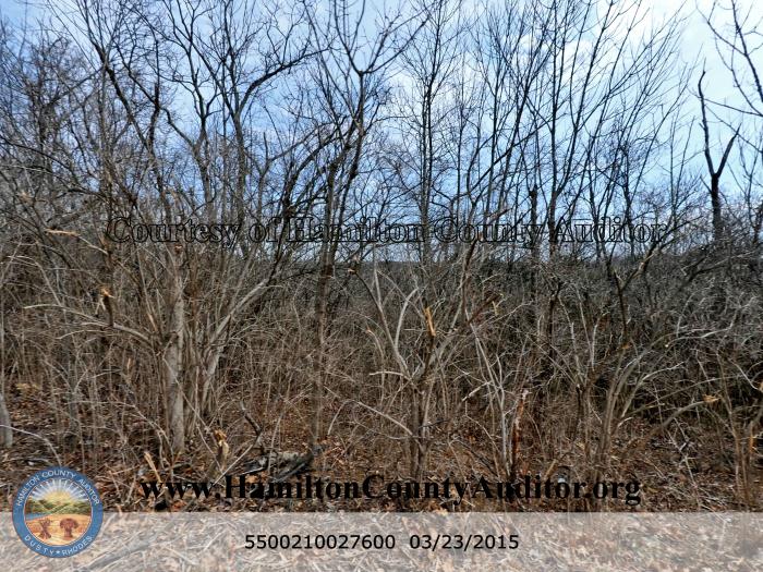 Photo 3/23/2015